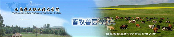 云南农业职业技术学院2020年五年一贯制大专招生简章(图2)