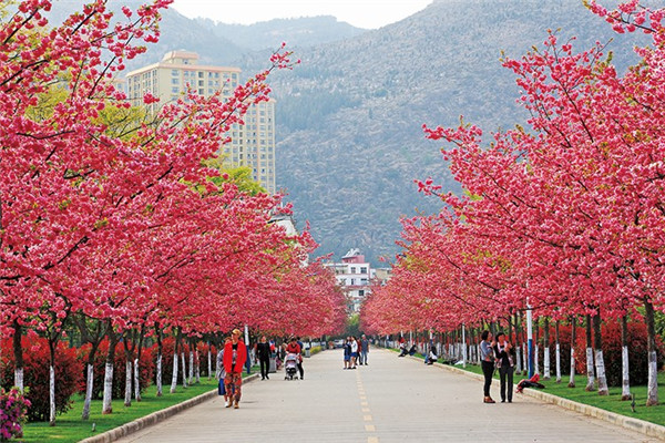 云南医药健康职业学院2022年五年一贯制大专招生简章(图6)